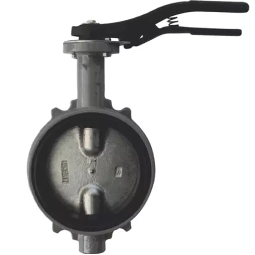 Затвор поворотный дисковый чугун R59W Ду 150 Giacomini R59WX015 Затвор поворотный дисковый чугун R59W Ду 150 Giacomini R59WX015
