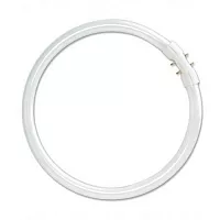 Кольцевая лампа OSRAM FC 40/ 865 2GX13 300mm 6000K