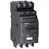 Выключатель автоматический GV3L736 Schneider Electric