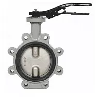 Затвор поворотный дисковый чугун R59FL Ду 100 Giacomini R59FLX010