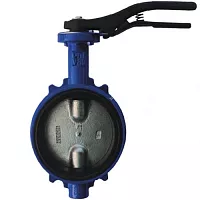 Затвор поворотный дисковый чугун R59W Ду 150 Giacomini R59WY015