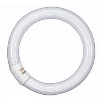 Кольцевая лампа OSRAM L 40/840 C G10q 409mm 4000K